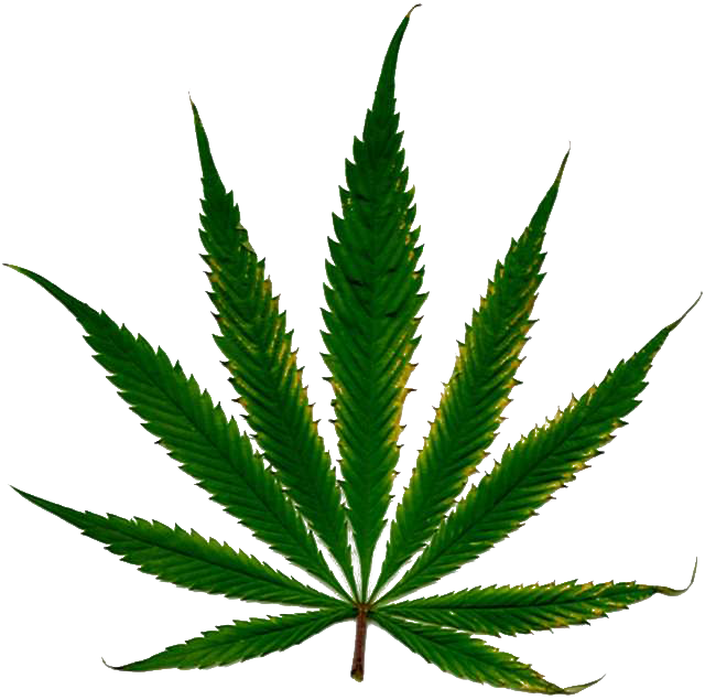 CANNABISCONTROL