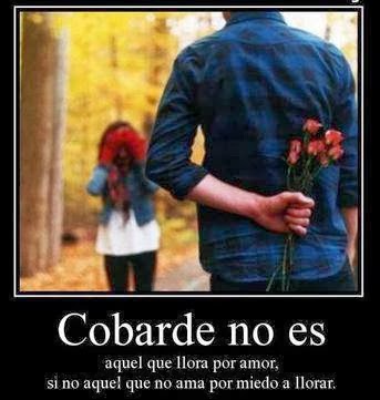 cobarde no es aquel que llora por amor 