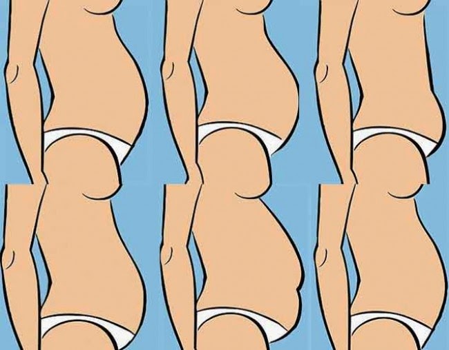 Conoce 5 Tipos De Panzas Y Sus Causas 