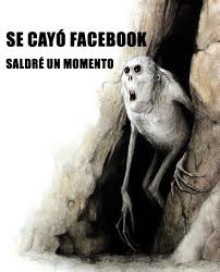 Facebook se cayo meme 