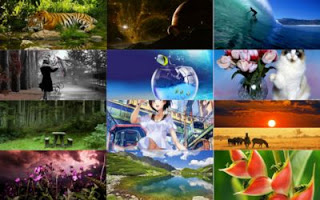 12 Imágenes Fascinantes – Fondos Para Tu Computadora 