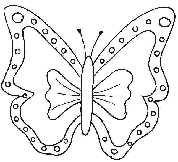 mariposa-05