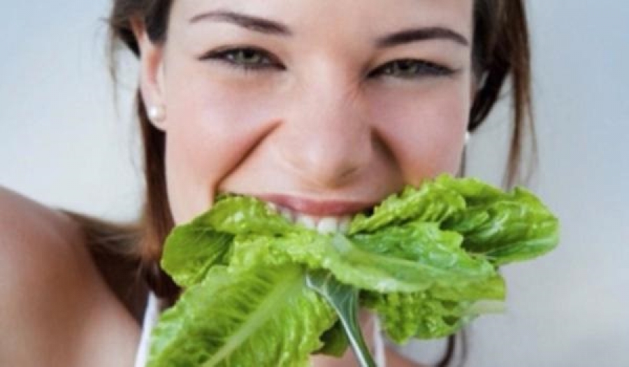 Malas noticias para los vegetarianos: las plantas sienten cuando se las están comiendo 