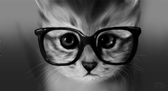 Imagenes de gatos hipster 
