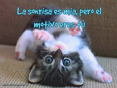 Frases de amor (imagenes de amor) 