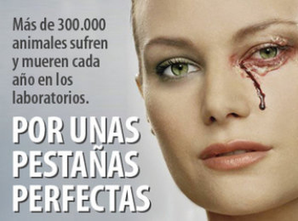 Lista De Marcas Que NO PRUEBAN En Animales y Las Que SÍ 
