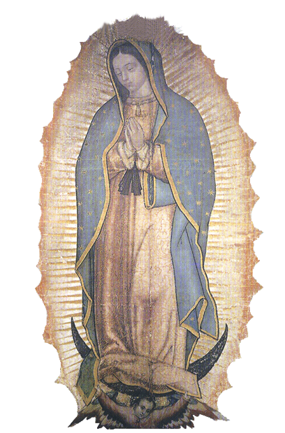 Guadalupe (2)