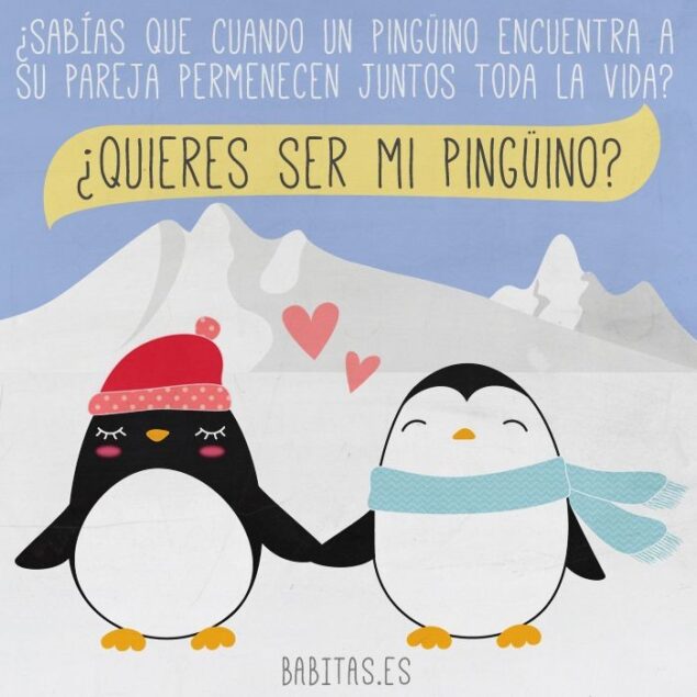 Pinguinos dibujos 
