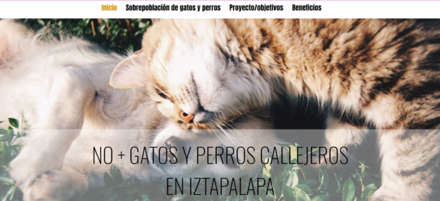 Proyecto final módulo 23 