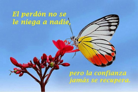 El perdón no se le niega a nadie 