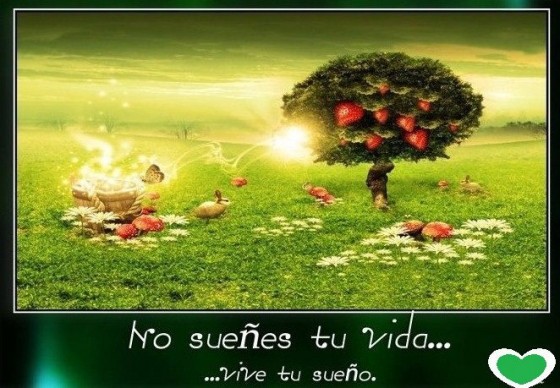 Vive tu sueño 