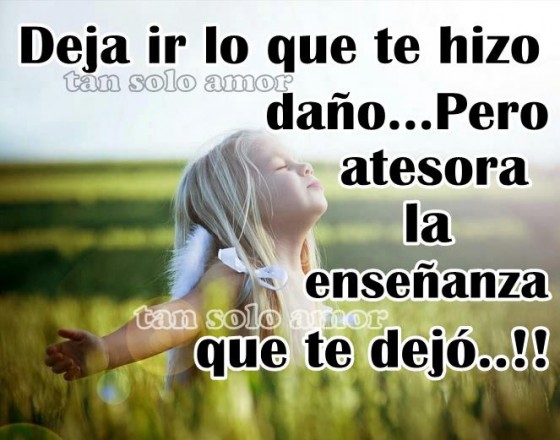 Atesora la enseñanza 