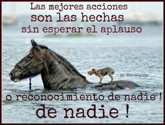 Las mejores acciones 