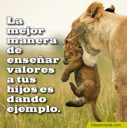 Enseña valores 