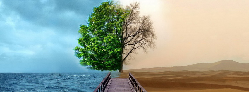 3d Fantasy Digital Art Facebook Cover 