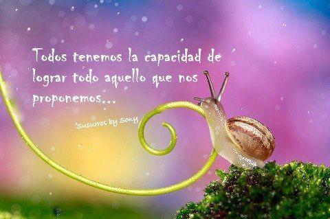 Capacidad de lograr lo que te propones 