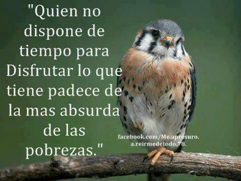 Disfruta lo que tienes 