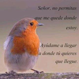 Señor ayudame a llegar a donde quieres 