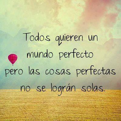 Mundo perfecto 