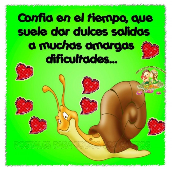 Confía en el tiempo 