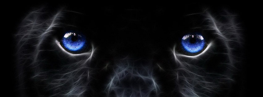 Big Cat Eyes Facebook Cover 