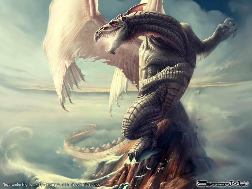 Fondo White dragon en Fondos de Pantalla 