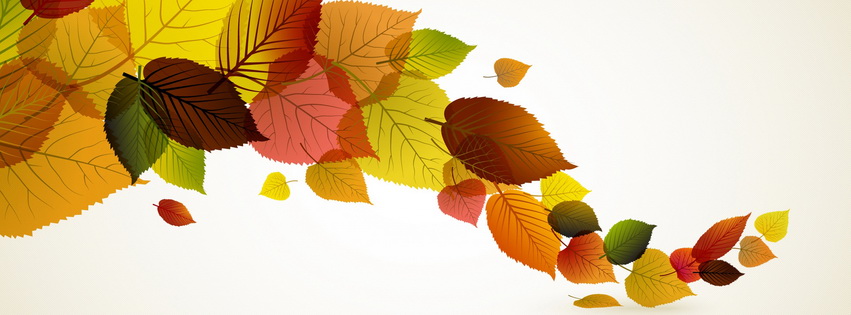 Fall Leaves Facebook Cover 