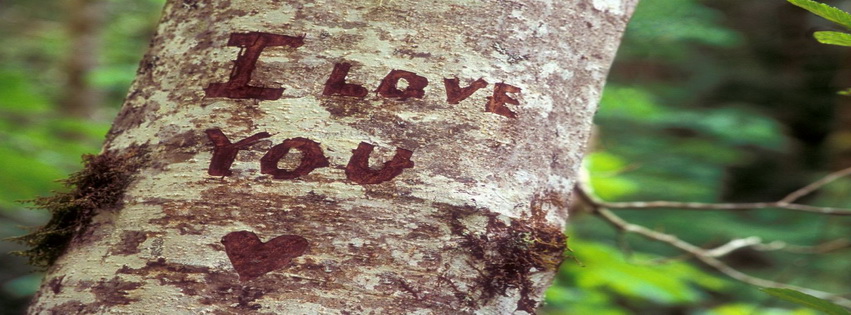I Love You Tree Facebook Cover 