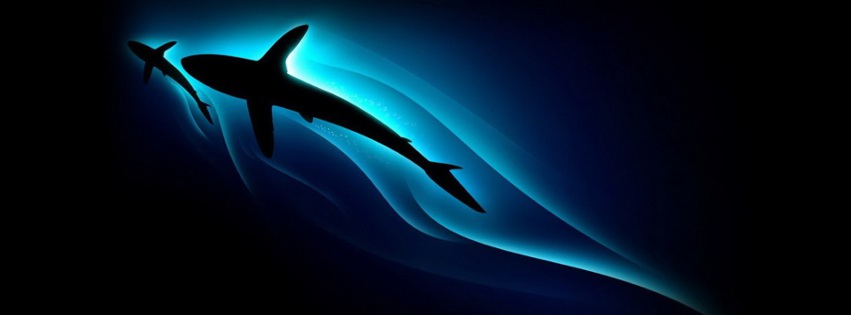 Shark Silhouette Facebook Cover 