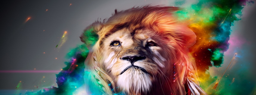 The Morning Star Facebook Cover 