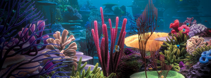Underwater Scene Facebook Cover 