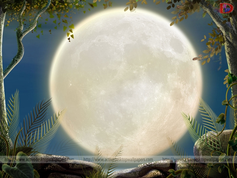 Fondo White moon en Fondos de Pantalla 