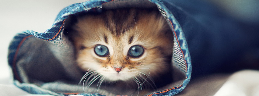 You Can’t Find Me Facebook Cover 