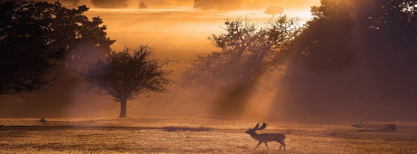 Nature Landscapes Fields Facebook Cover 