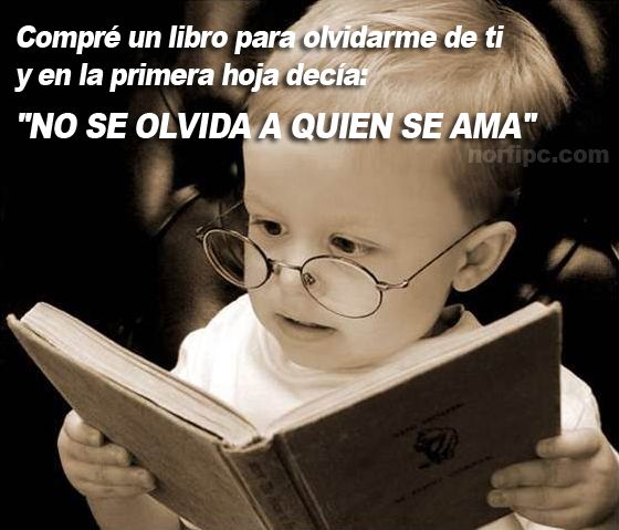 No se olvida a quien se ama 