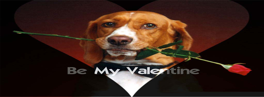 Be My Valentine Facebook Cover 