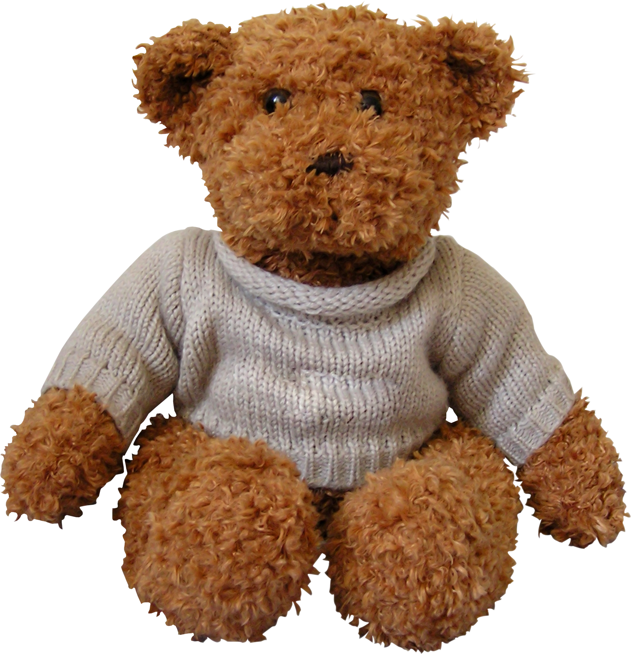 toy bear PNG imagen 