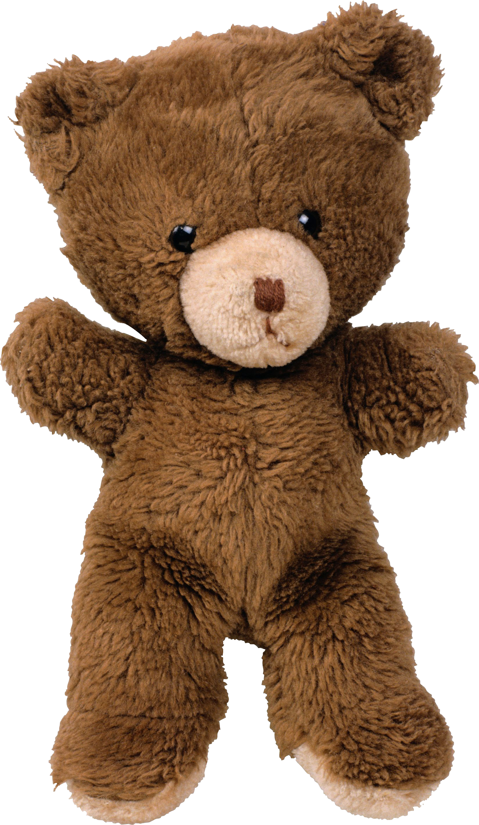 toy bear PNG imagen 