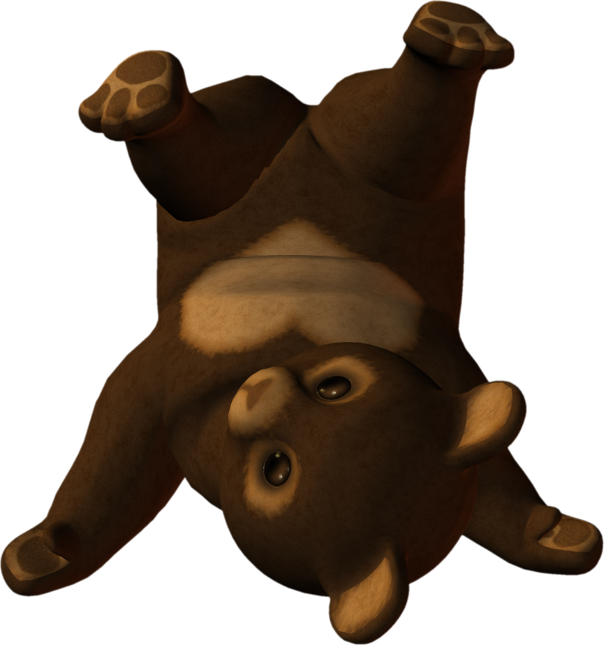 little bear PNG imagen 