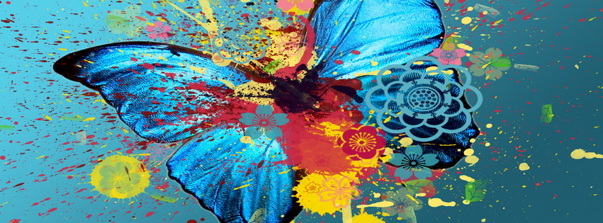 Borboleta Facebook Cover 
