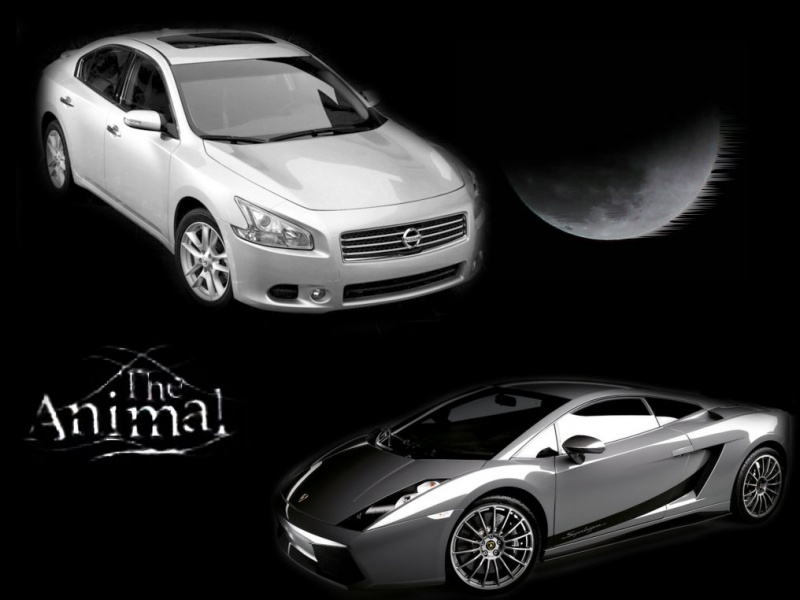 Fondo Carro nissan en Fondos de Pantalla 