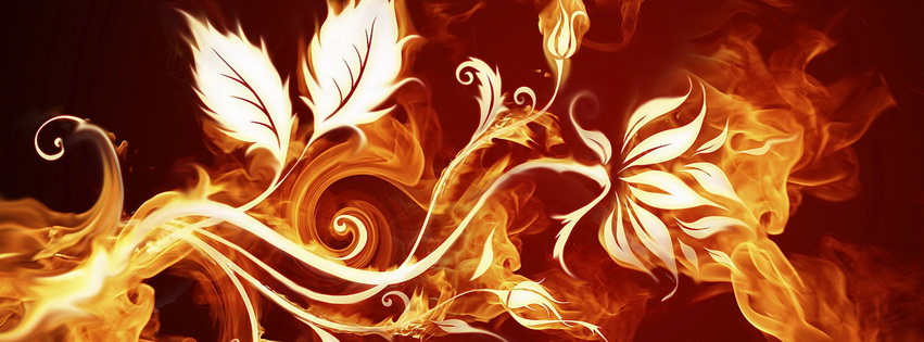 Fire Rose Facebook Cover 
