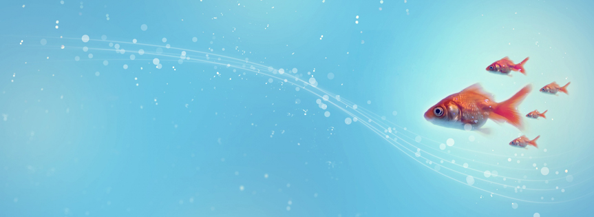 Five Fishes Facebook Cover 