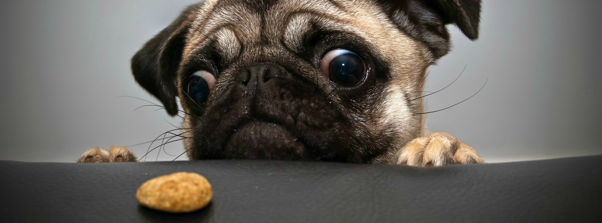 I Can Not Believe My Eyes Facebook Cover 