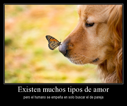 El amor no sólo existe en pareja 