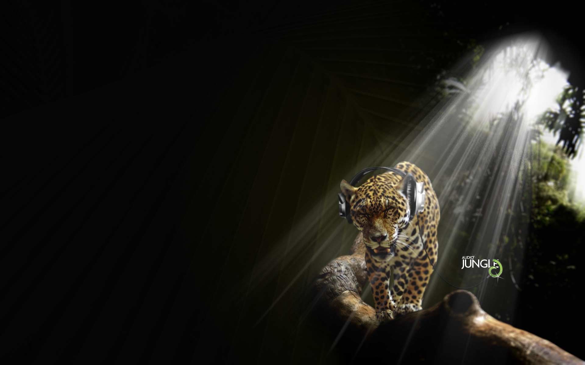 Jungle Music Facebook Cover 