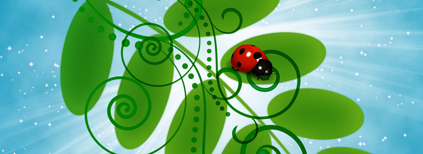 Ladybug Facebook Cover 