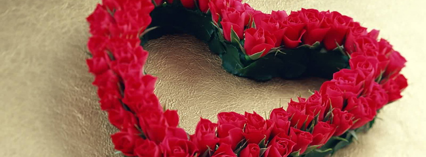 Love Rose Heart For Valentine Facebook Cover 