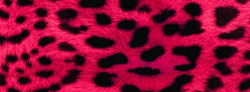 Pink Leopard Facebook Cover 