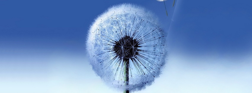 Samsung Galaxy S3 Facebook Cover 